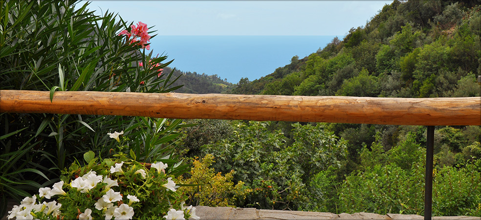 Agriturismo Costa di Campo  - Vernazza (SP) - Cinque Terre - Liguria - Italy